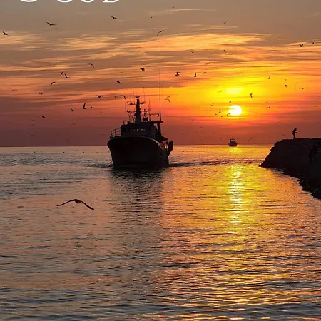 L'emeraude Au Soleil Avec Coin Nuit Dans Sur La * Le Grau-du-Roi