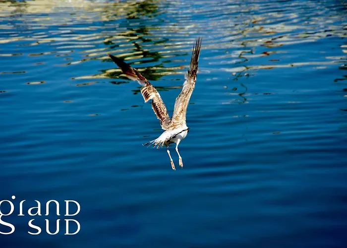 Apartamento L'emeraude Au Soleil Avec Coin Nuit Dans Sur La *