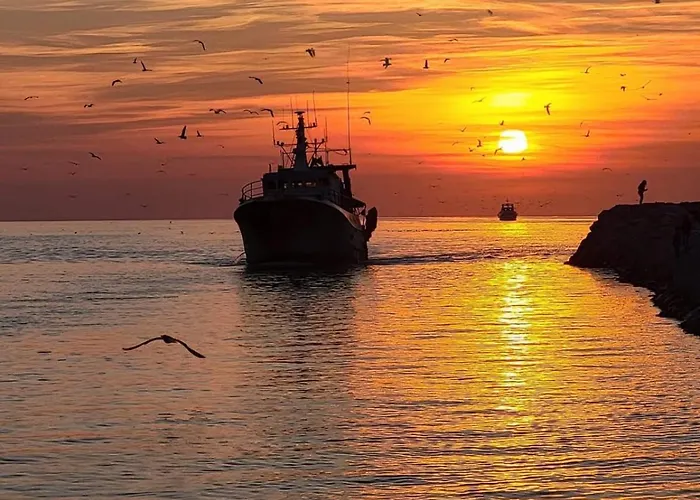 L'emeraude Au Soleil Avec Coin Nuit Dans Sur La * Le Grau-du-Roi